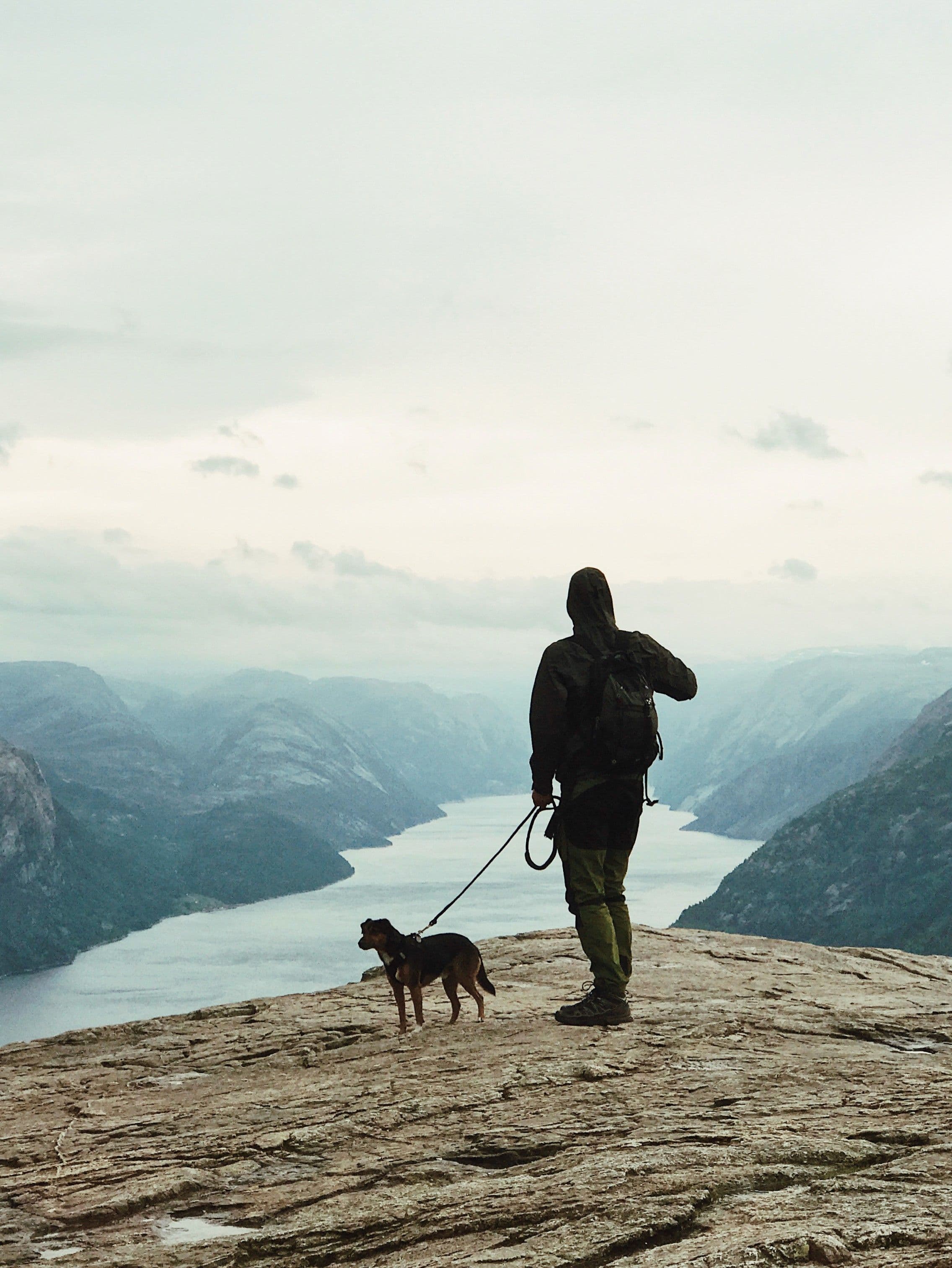 5 Dog-Friendly UK Adventures You’ll Both Love