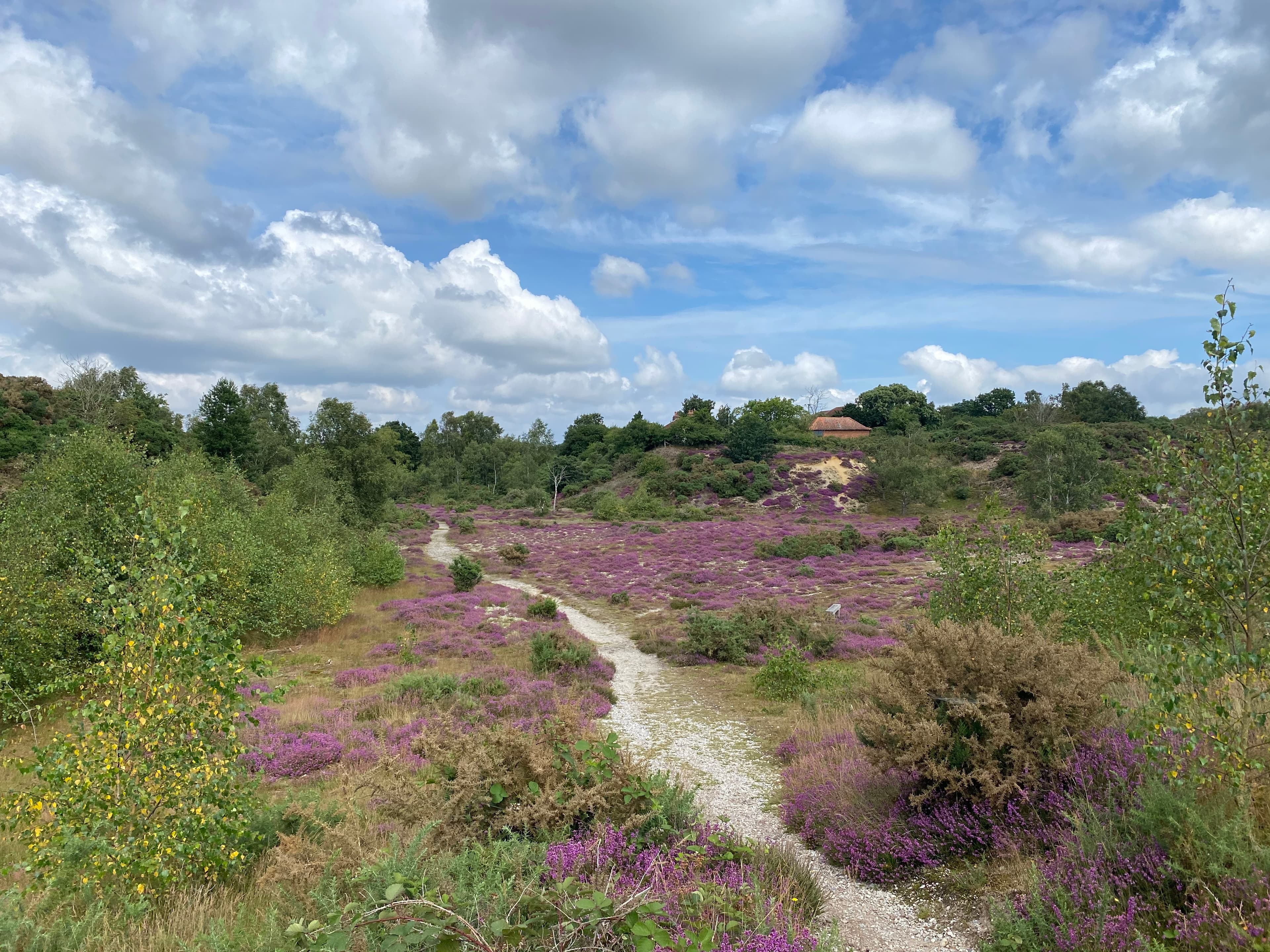 Suffolk Coast Path